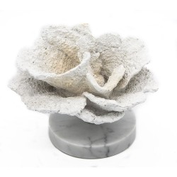 CORAL DE RESINA C/ BASE DE MARMORE