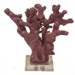 Coral de Resina Vermelho