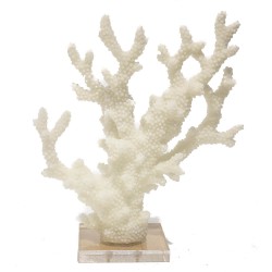 Coral de Resina Off White