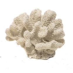 Escultura Coral de Resina